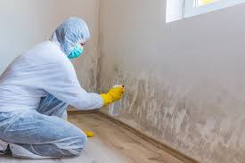 Reliable Rochester, NH Mold Remediation Solutions